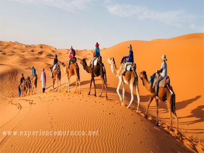 camel trekking merzouga